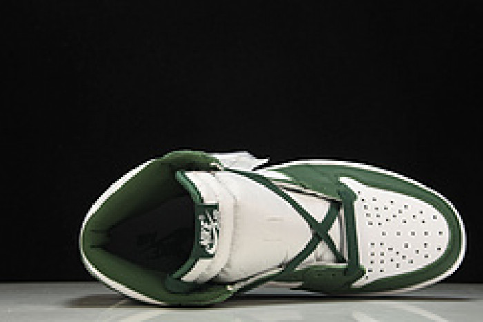 Air Jordan 1 Gorge Green DZ5485-303