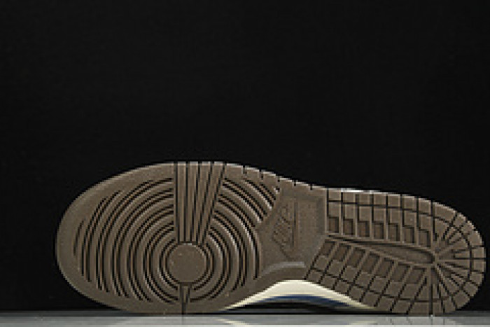 NK SB Dunk Low Pro Argentina AT2022-666