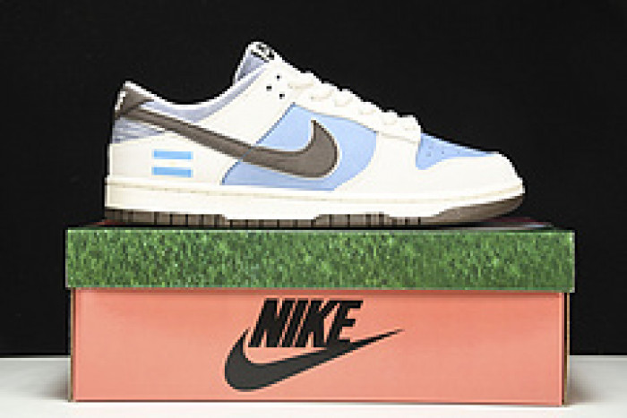 NK SB Dunk Low Pro Argentina AT2022-666