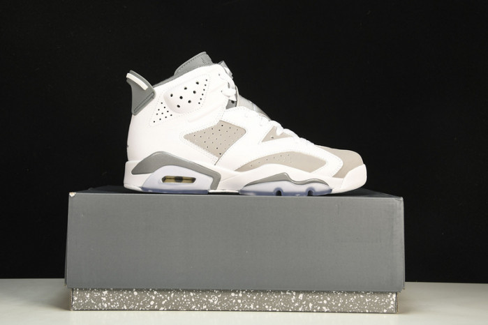 Air Jordan 6 “Cool Grey” CT8529-100