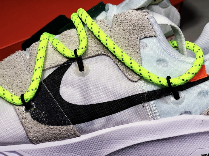 Nike Zoom Terra Kiger 5 OH White (W) CD8179-100