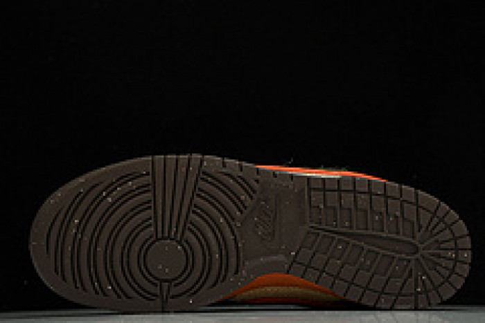 NIKE DUNK LOW PRO SB 304292-281