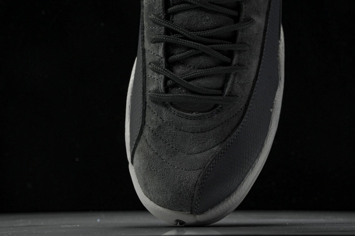 Air Jordan 12 130690-005