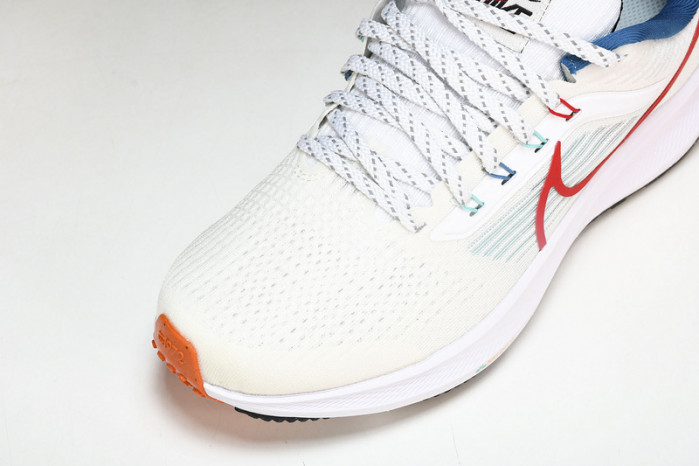 Nk Air Zoom Pegasus 39 FD4322-161