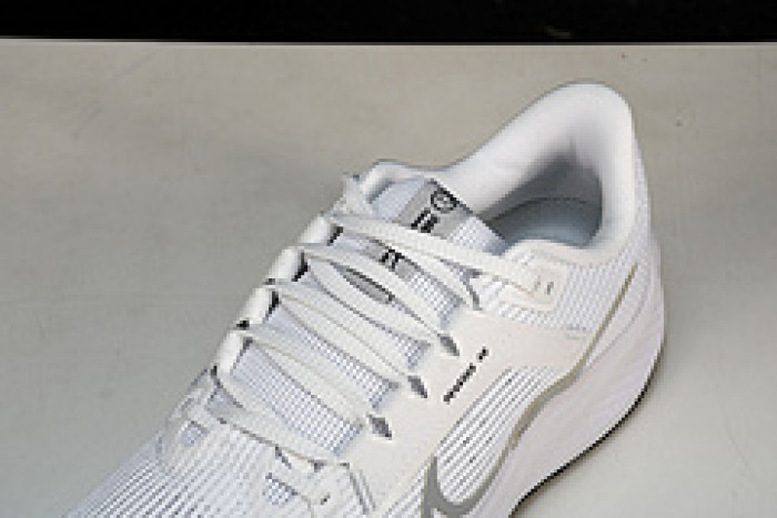 NK Air Zoom Pegasus 40 DV3853-102