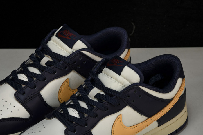 NK DUNK LOW FV8106-181