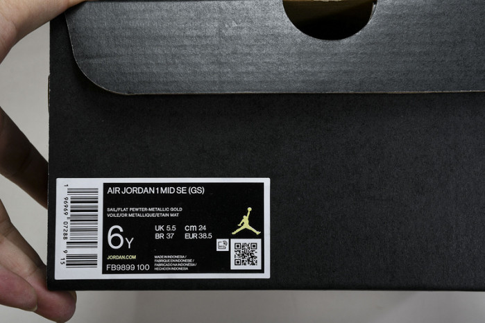 Air Jordan 1 Mid SE(GS) FB9899-100