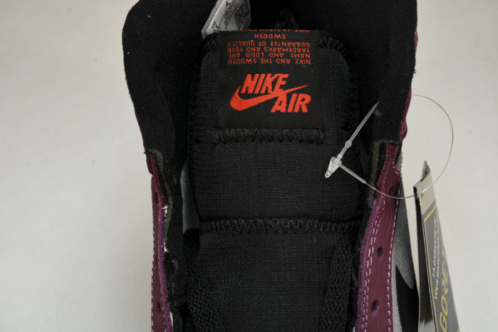 Air Jordan 1 DB2889-500V