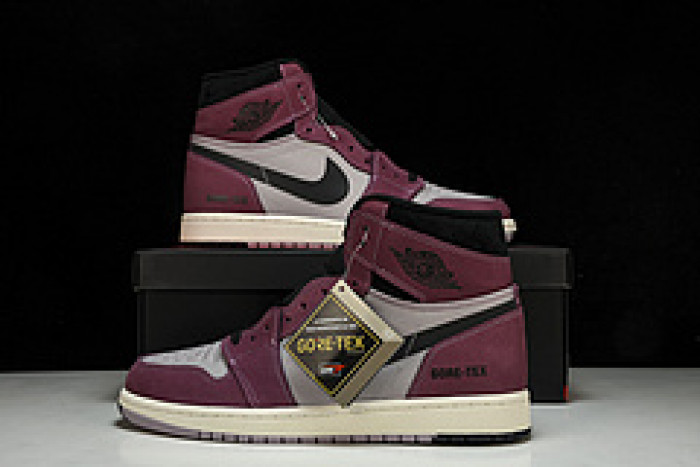 Air Jordan 1 DB2889-500V