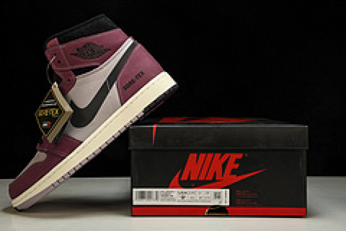 Air Jordan 1 DB2889-500V