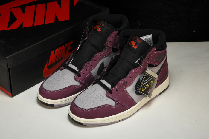 Air Jordan 1 DB2889-500V