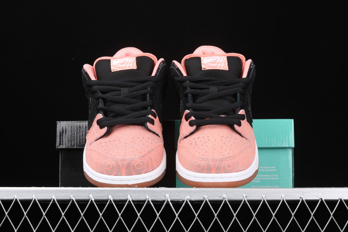 Nike Dunk SB Low Premier Fish Ladder 313170-603