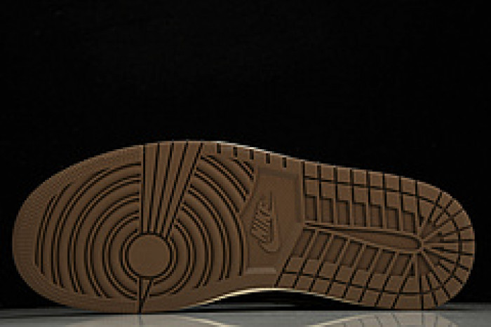 Air Jordan 1 High OG "Palomino" DZ5485-020