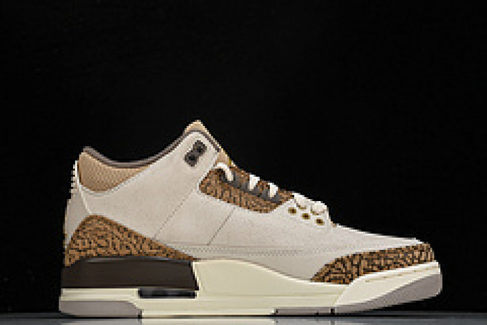 Jordan 3 Retro Palomino - CT8532-102