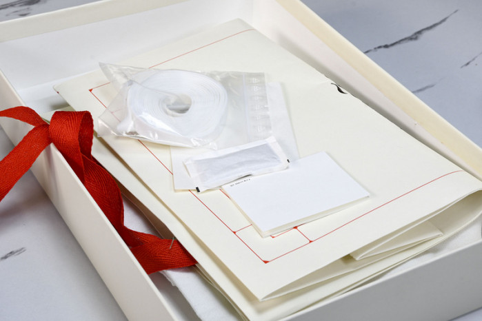 Alexander McQueen sneaker