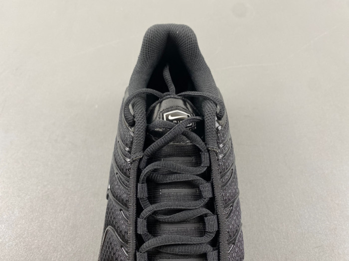 Nike Air Max Plu 604133-050