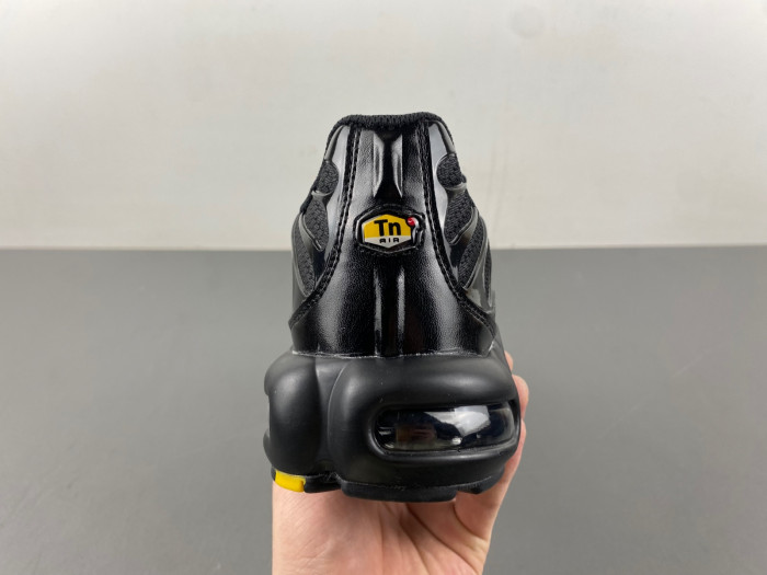 Nike Air Max Plu 604133-050