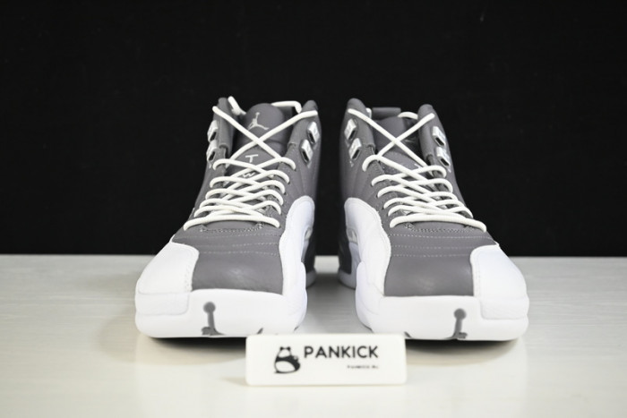 Jordan 12 Retro Stealth - CT8013-015