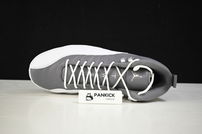 Jordan 12 Retro Stealth - CT8013-015