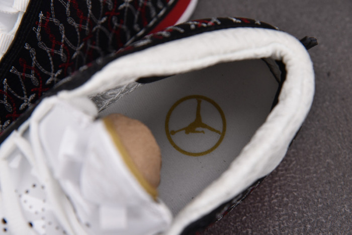 Titan x Air Jordan 23 318376-061