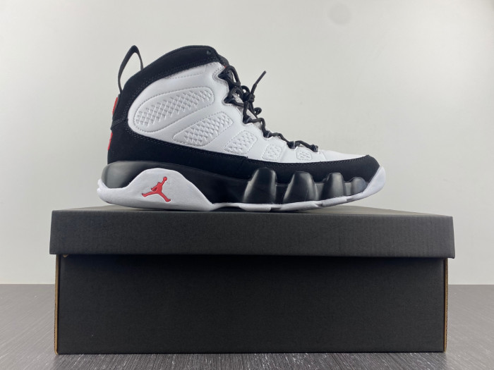 Air Jordan 9 302370-112