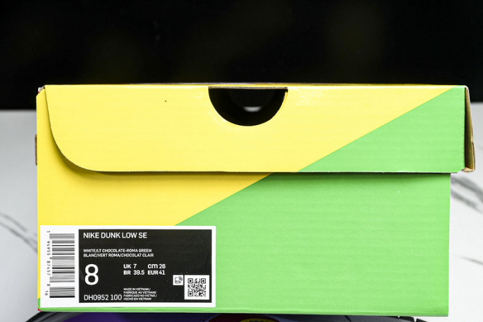 NK Dunk Low SE DH0952-100